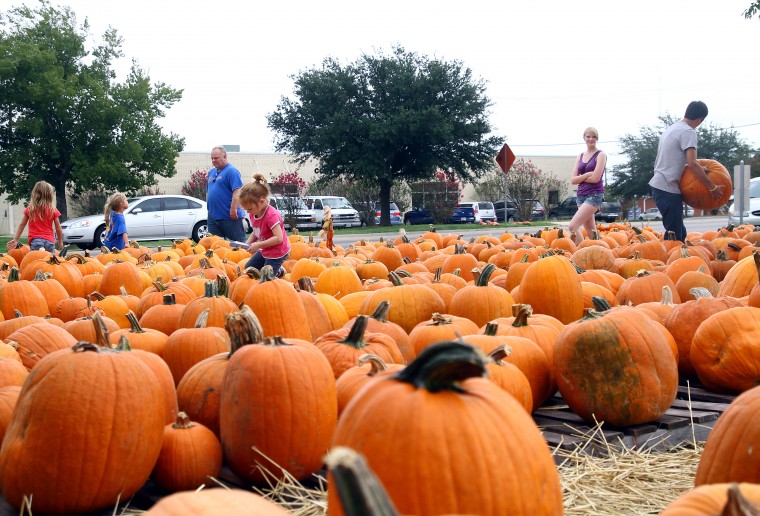 Grace United Pumpkin Patch